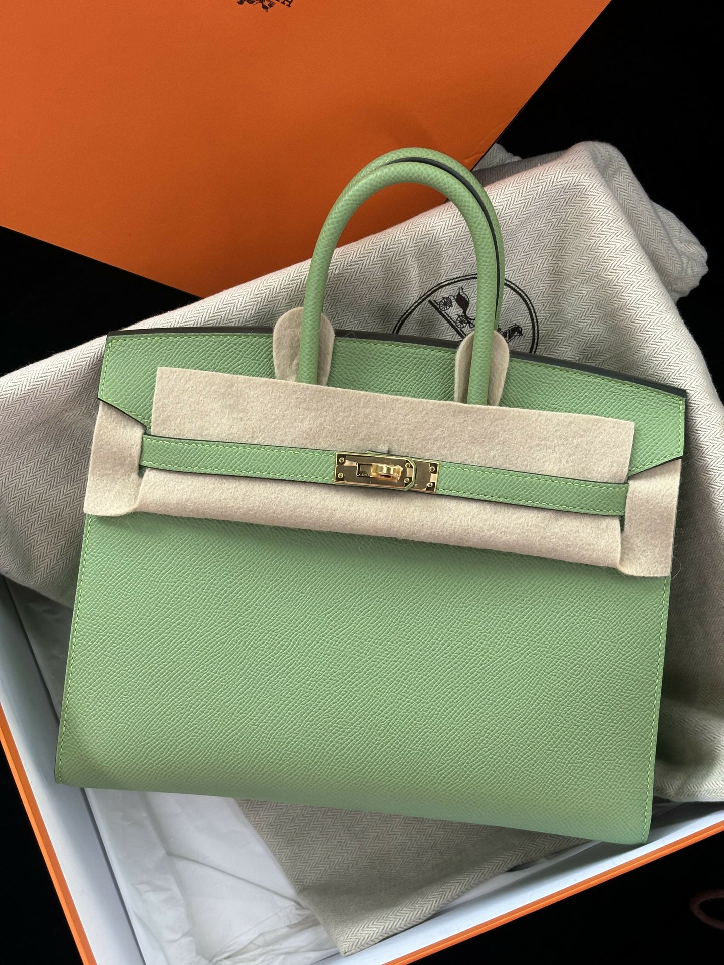Hermès Birkin 25 Sellier Vert Vertigo (Avocado Green) Epsom Leather with Gold Hardware