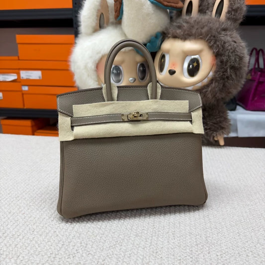 Hermes Birkin 25 grey Togo leather champagne gold hardware