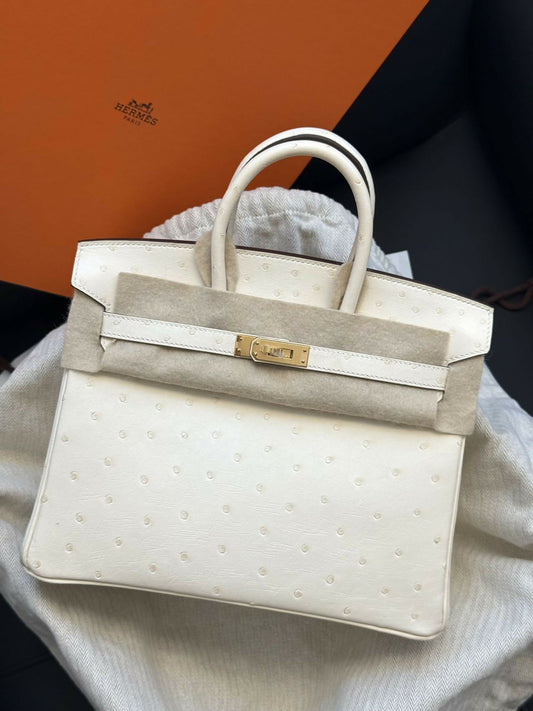 Hermès Birkin 25 Nata Ostrich / Aurora Satin Leather with Gold Hardware