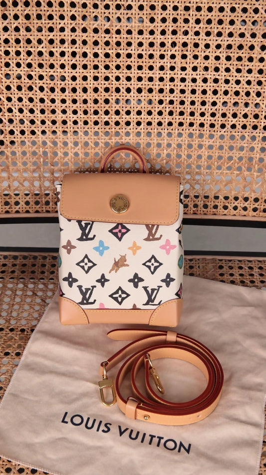 Louis Vuitton Pre-Owned x Tyler the Creator LV Christopher bag