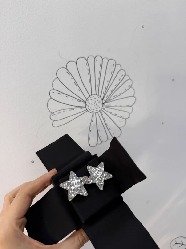 Chanel 25c double C acrylic star silver earrings