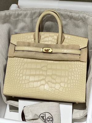 Hermes Birkin 20 Y1 vanille matte Alligator leather gold hardware