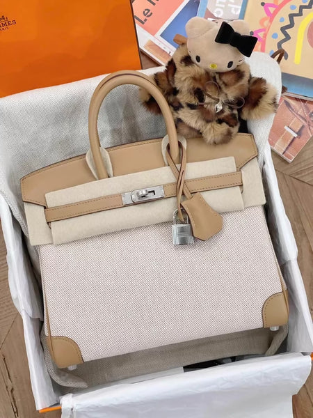 Hermès Birkin 25 biscuit 4B Swift leather and canvas palladium