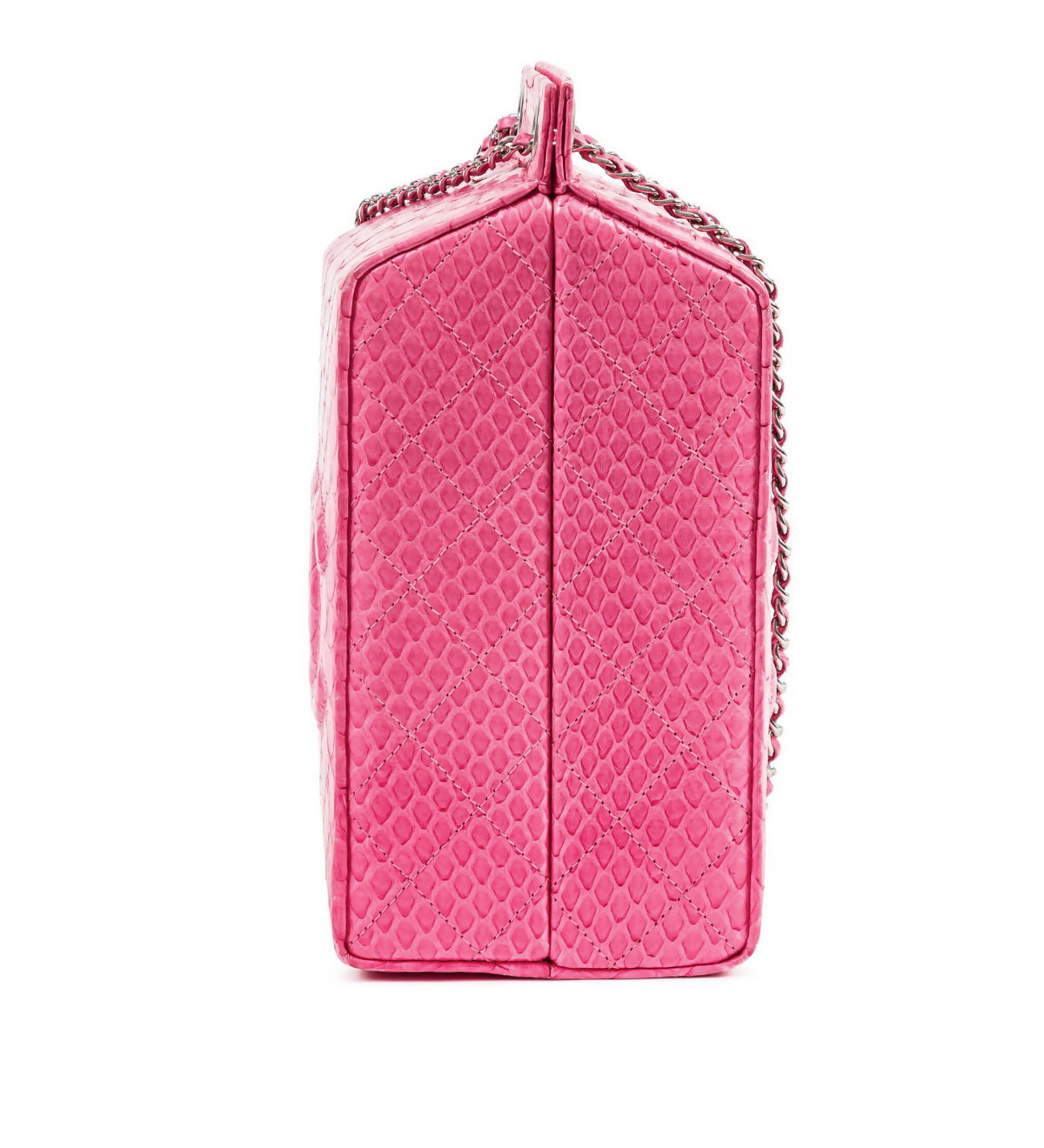 Chanel 2014 Pink Python Lait de Coco Milk Carton Bag
