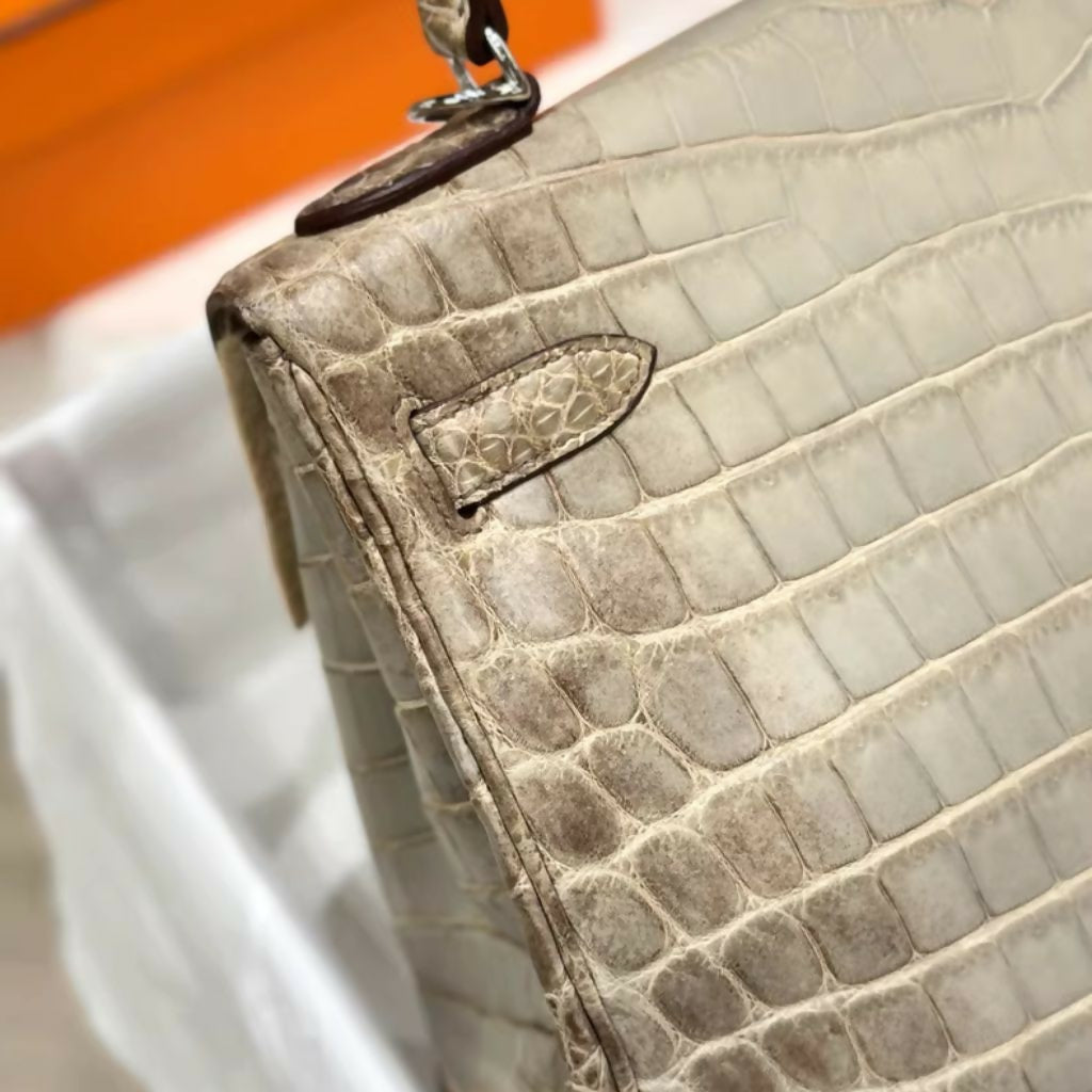 Hermes  nag (2)