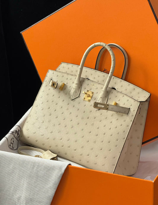 Hermès Birkin Sellier 25 Neige Ostrich with Gold Hardware