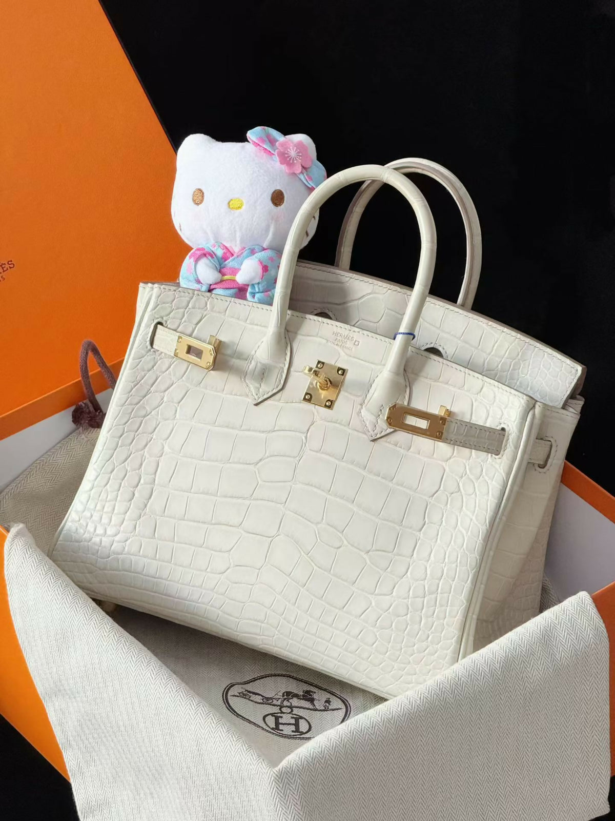 Hermès Birkin 25 Nata / Craie Matte Crocodile with Gold Hardware