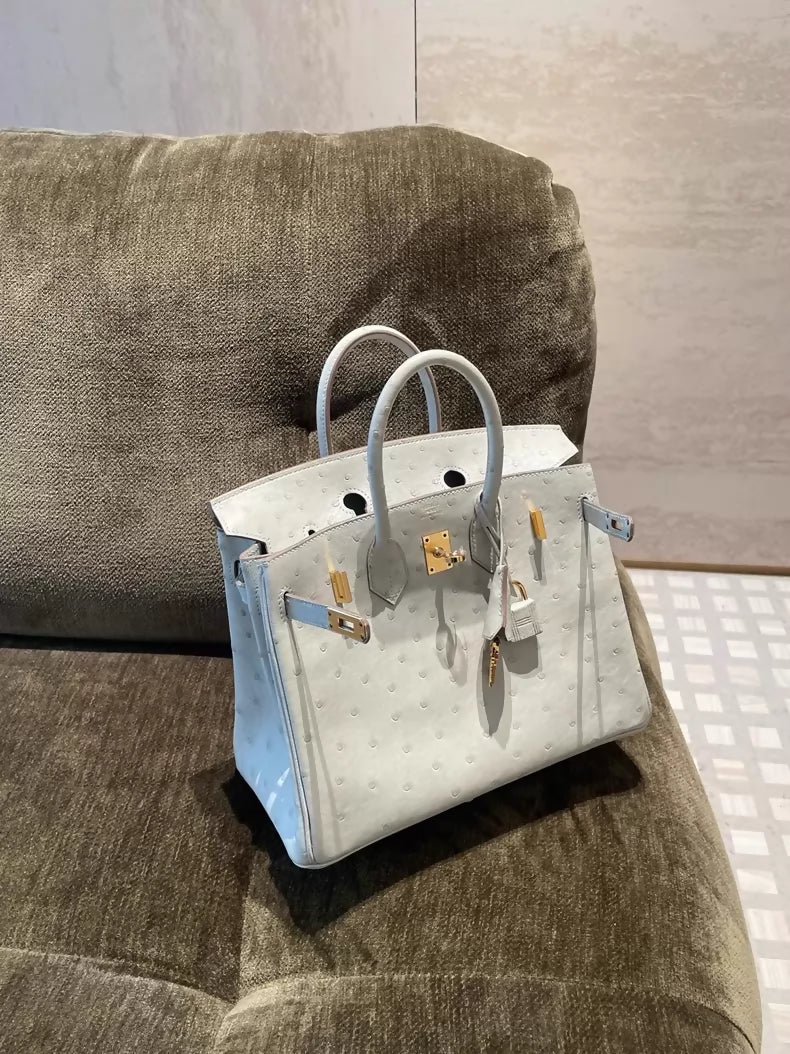 Hermes Birkin 25 Gris Perle ostrich leather gold harwdare