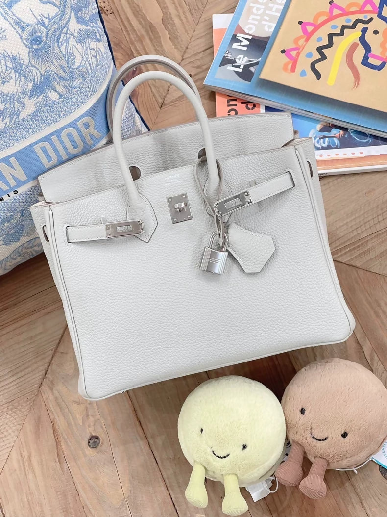 Pre-owned Hermès Birkin 25 Pearl Grey Togo leather palladium hardware