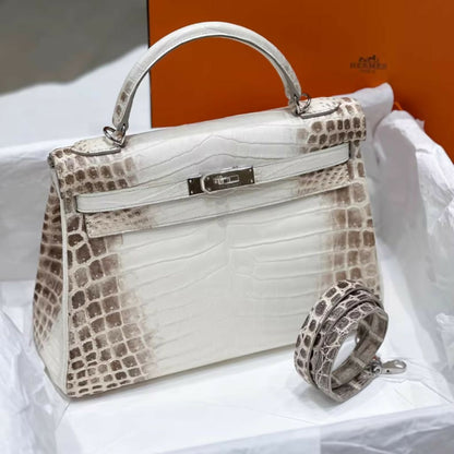 Hermes  nag (3)