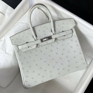 Hermès Birkin 25 Gris Perle Ostrich with Palladium Hardware