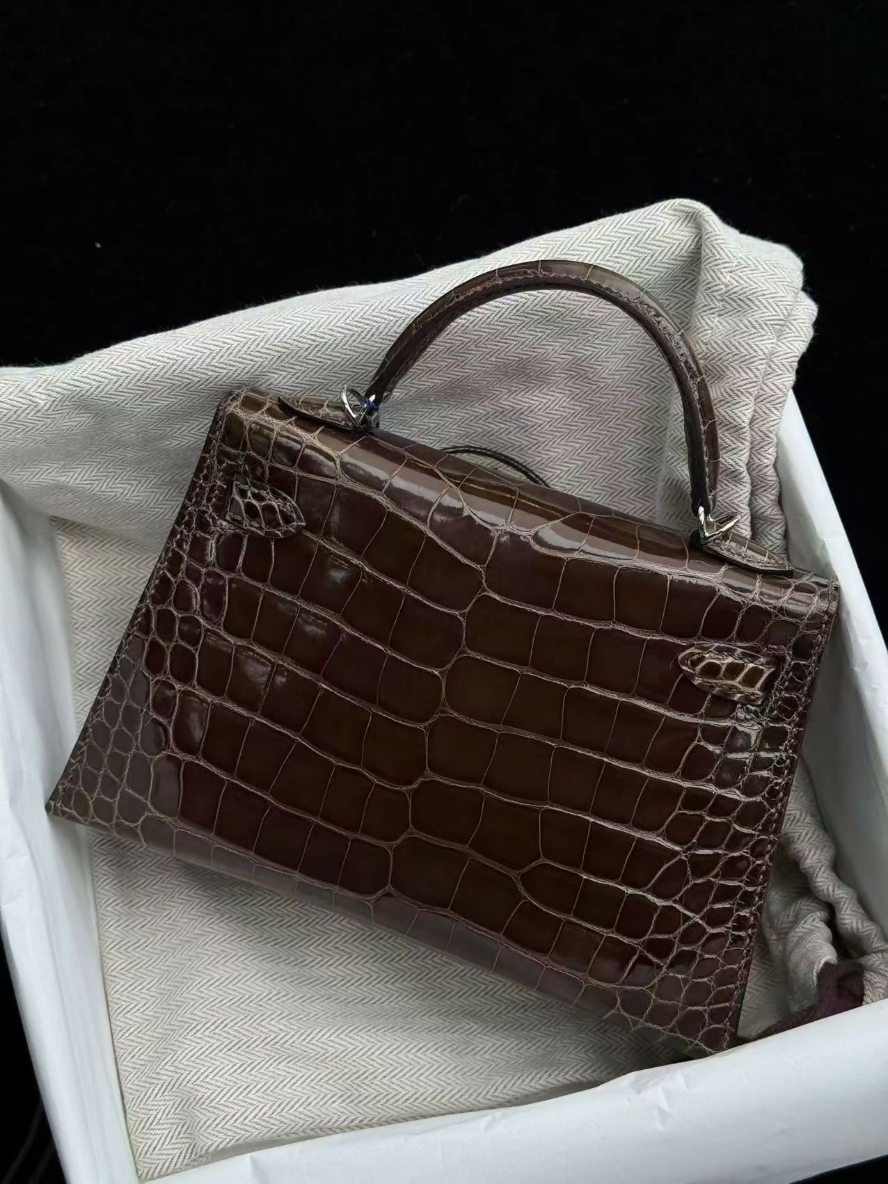 Hermès Mini Kelly 20 Gris Étoupe Alligator Lisse Palladium