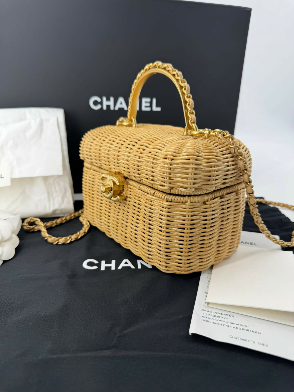 Chanel Cruise 2025/26 Braided Rattan & Gold-Tone Metal Beige Vanity Case