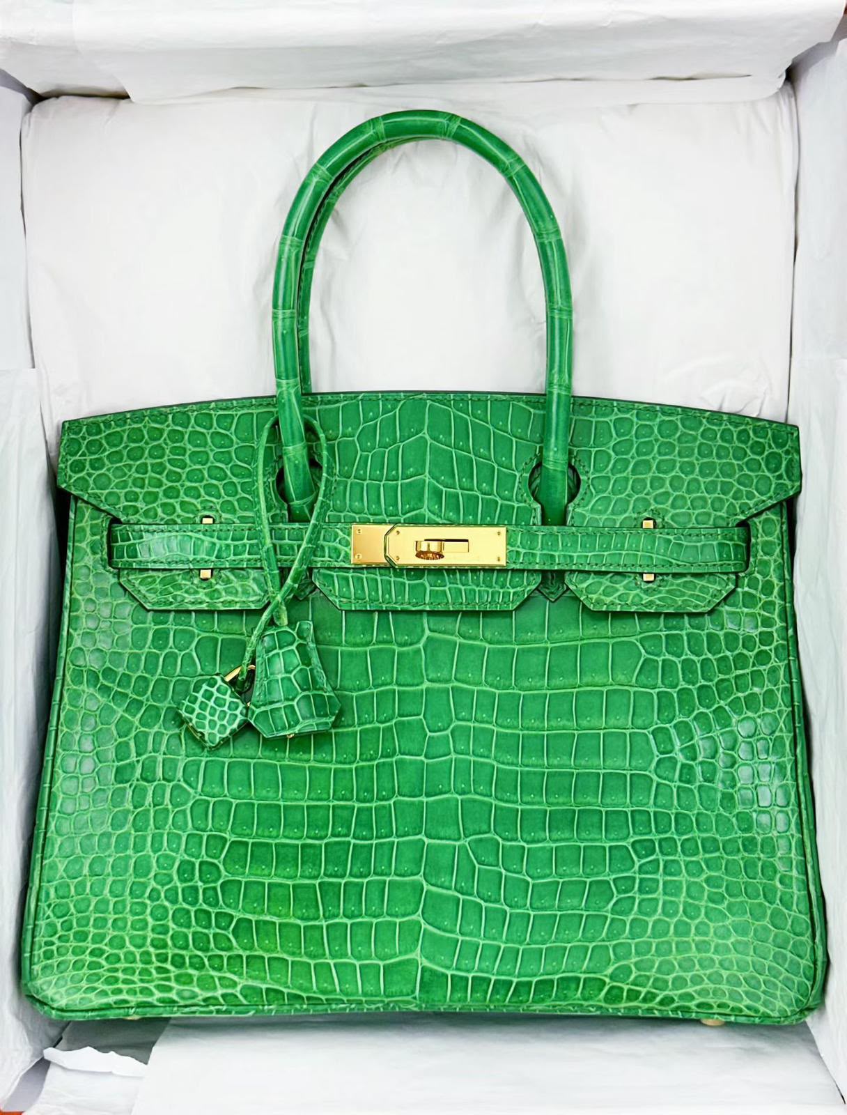 Hermes Birkin 30 Cactus Shiny Porosus crocodile leather gold hardware