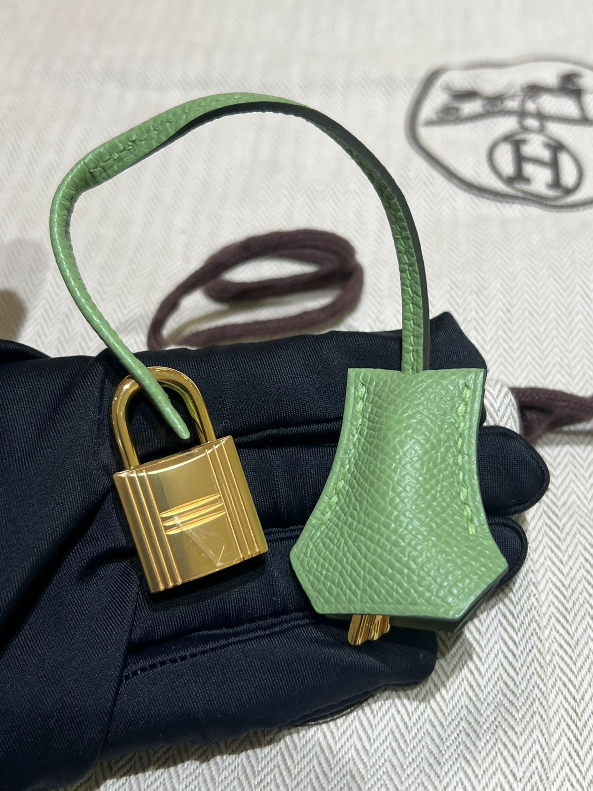 Hermès Birkin 25 Vert Avocado Epsom Leather with Gold Hardware