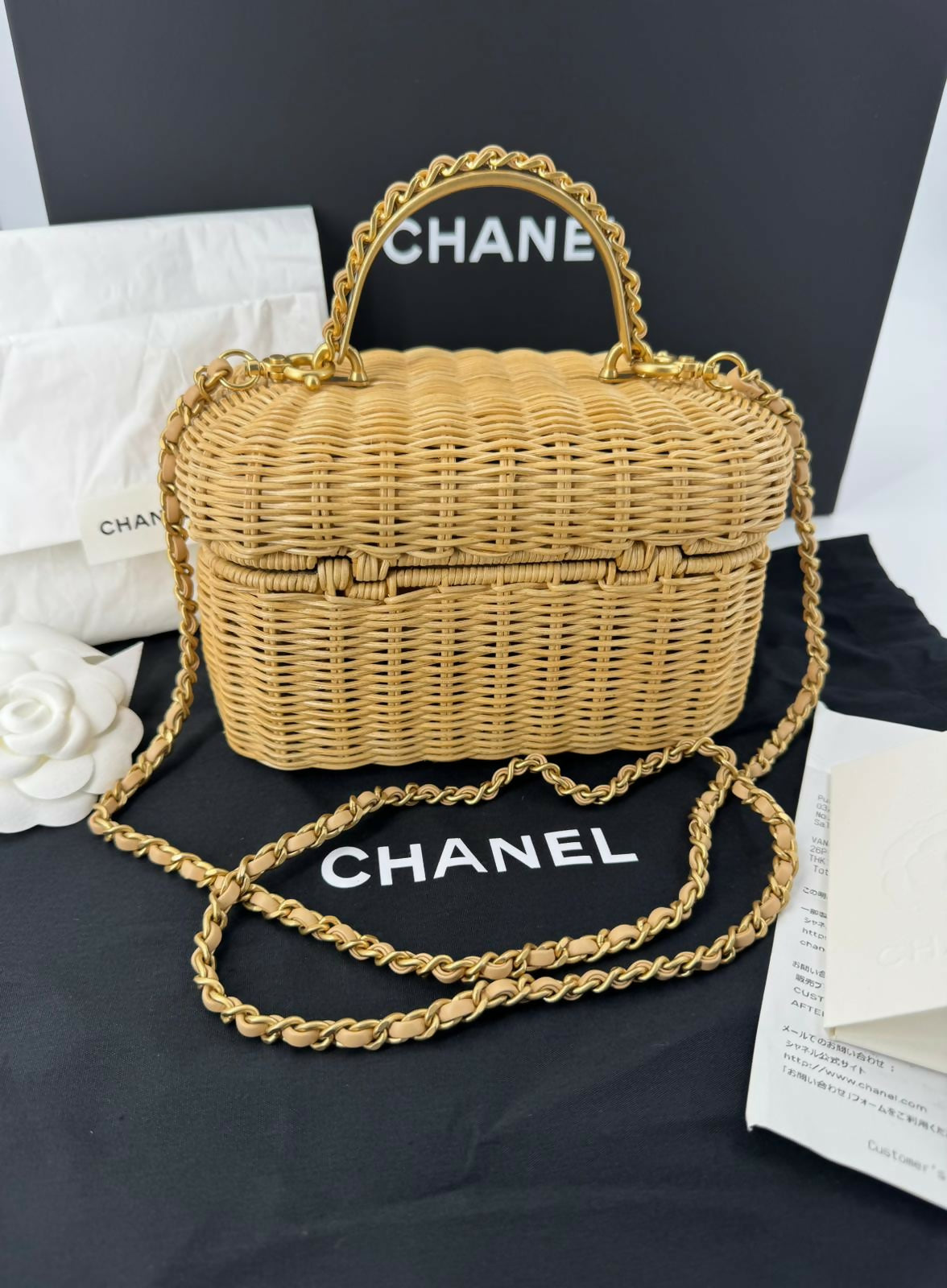 Chanel Cruise 2025/26 Braided Rattan & Gold-Tone Metal Beige Vanity Case