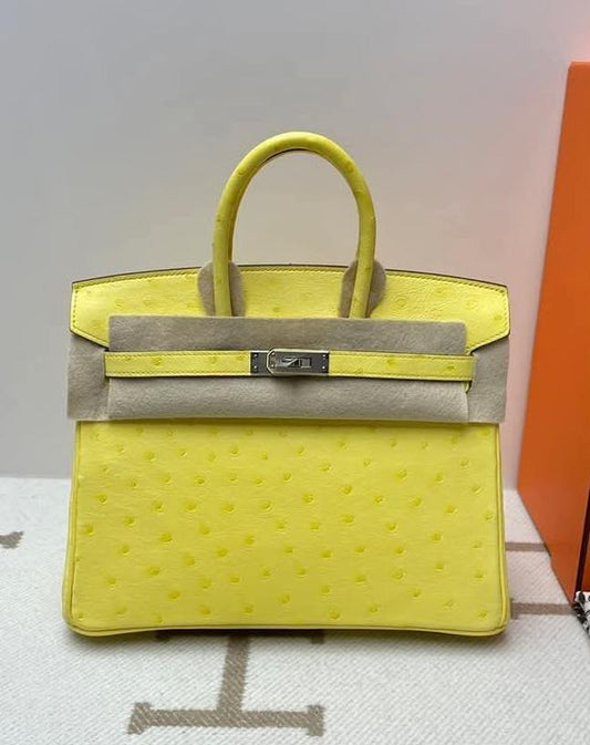 Hermes Birkin 25 Limoncello Ostrich Palladium Hardware