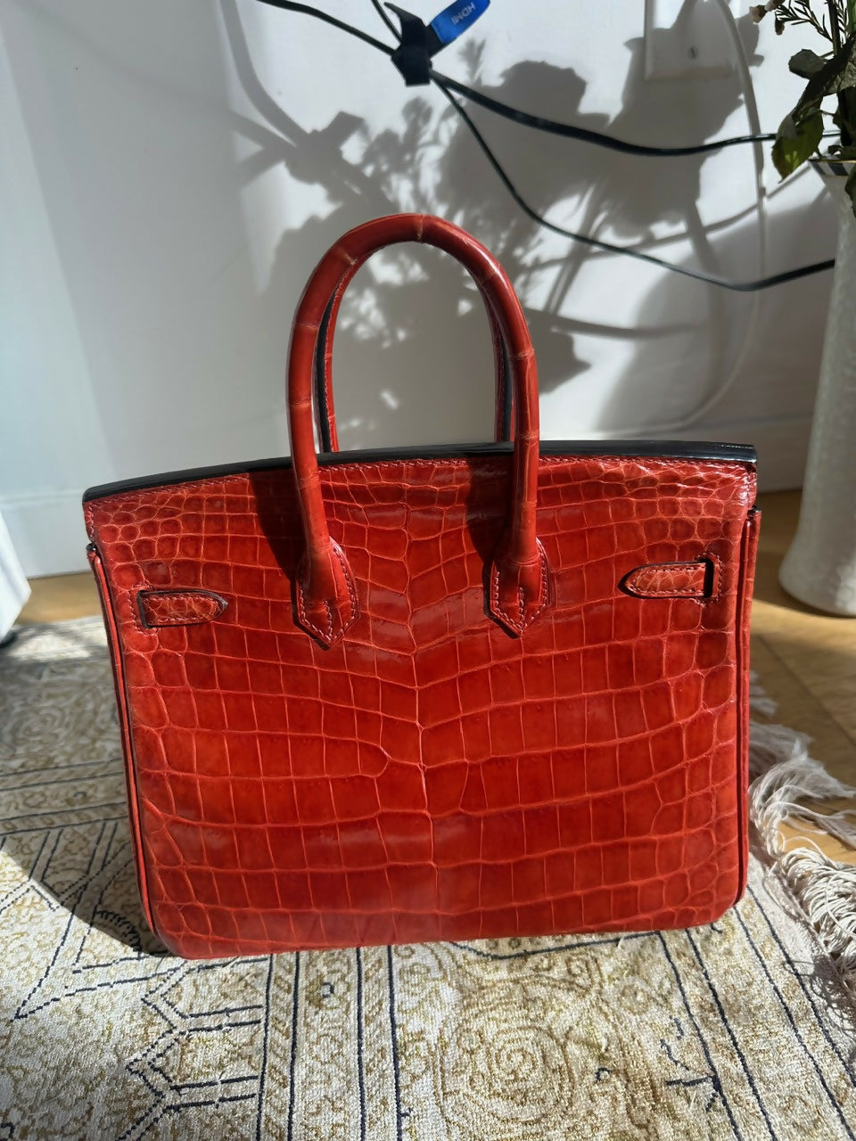 Hermes Birkin 25 Braise Shiny Niloticus Crocodile Leather Palladium Hardware