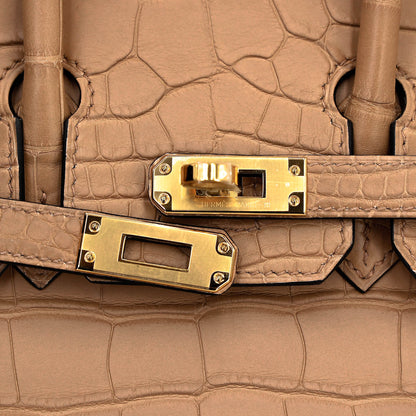 HERMÈS Birkin 25 Sellier Chai Matte Alligator Gold hardware
