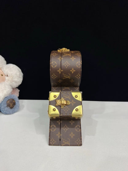 Louis Vuitton Letter Trunk 
bag