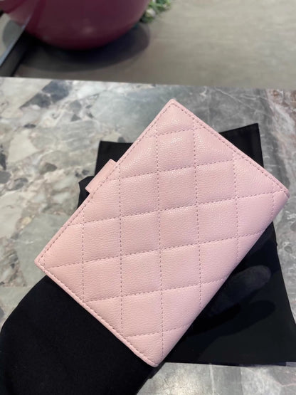 Chanel 25S Pink Passport Holder