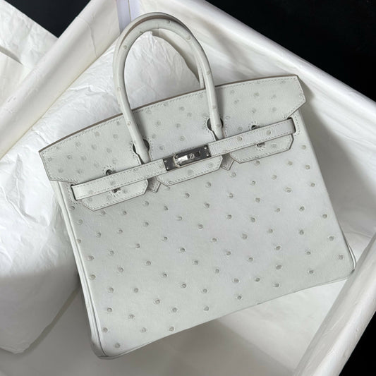 Hermès Birkin 25 Gris Perle Ostrich with Palladium Hardware