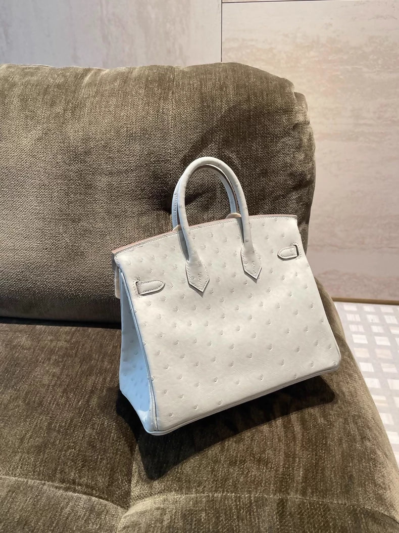 Hermes Birkin 25 Gris Perle ostrich leather gold harwdare