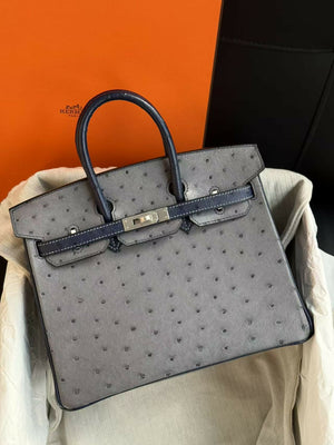 Hermès Birkin 25 Gris Agate & Iris Leather with Brushed Palladium Hardware