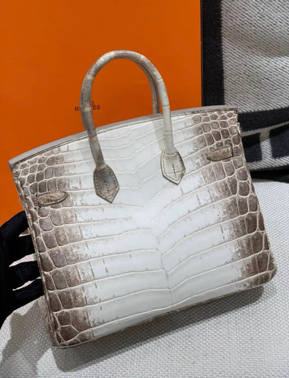 Hermes Birkin 25 Himalaya Palladium Hardware