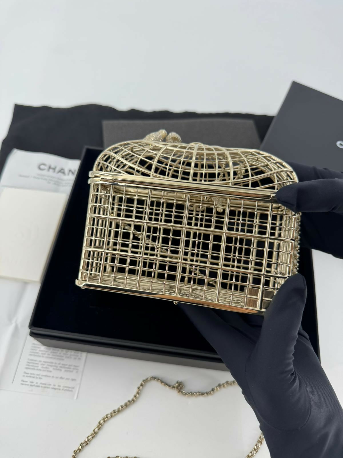 Chanel 2025 Rhinestone and Metal Embellishments Light Gold Birdcage Minaudière Bag