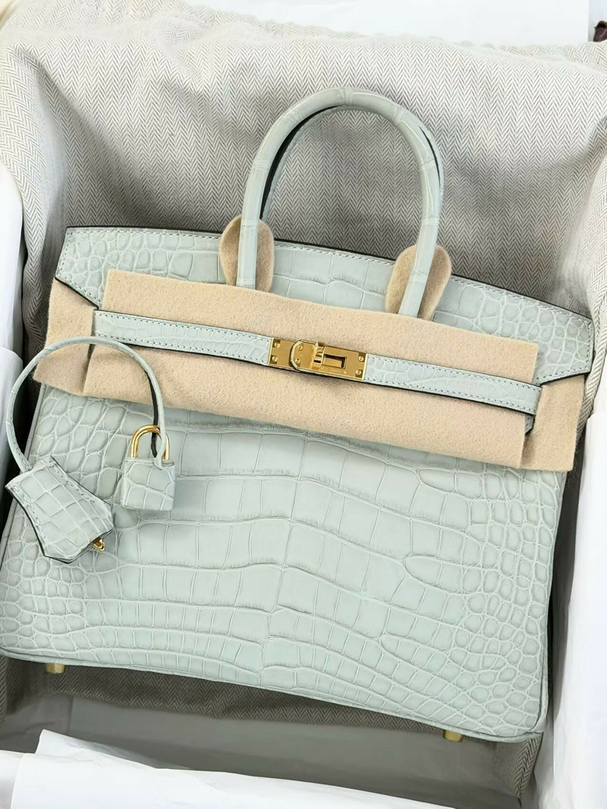 Hermès Birkin 25 Gris Glaçon / Ice Grey Matte Crocodile with Gold Hardware K Stamp