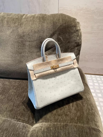Hermes Birkin 25 Gris Perle ostrich leather gold harwdare