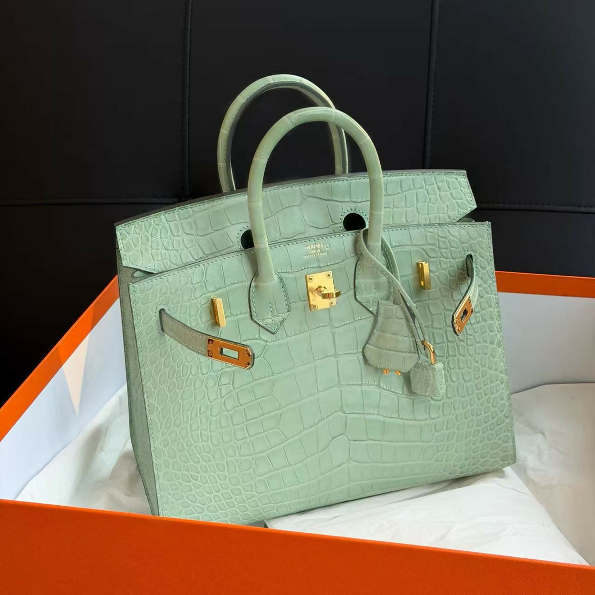 Hermès Birkin 25 Sellier Vert Menthe / Mint Green Matte Crocodile with Gold Hardware B Stamp
