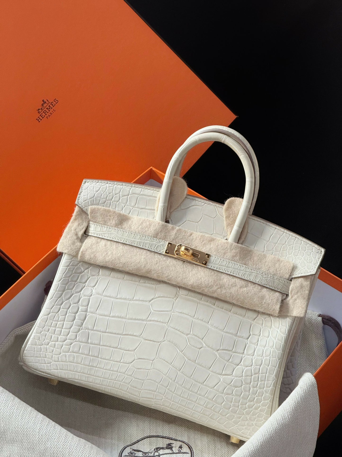 Hermès Birkin 25 Blanc Glacier Matte Porosus Alligator with Gold Hardware