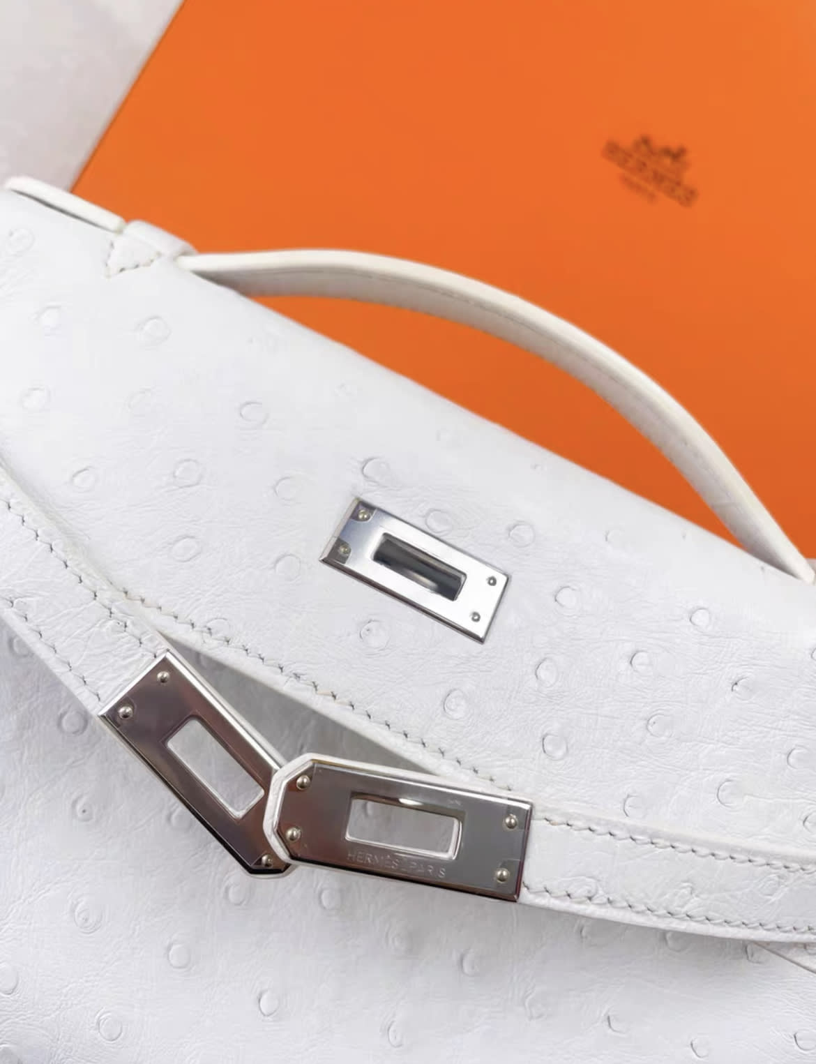 Hermes mini kelly generation 01 pure ostrich leather