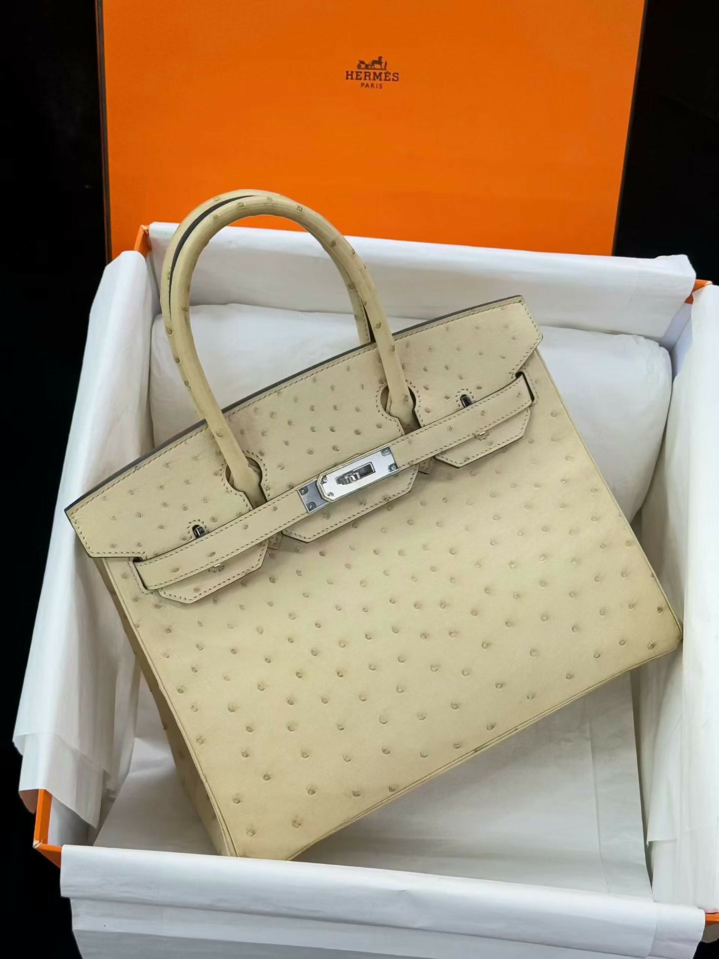 Hermès Birkin 30 Blanc Cassé Ostrich Leather with Palladium Hardware