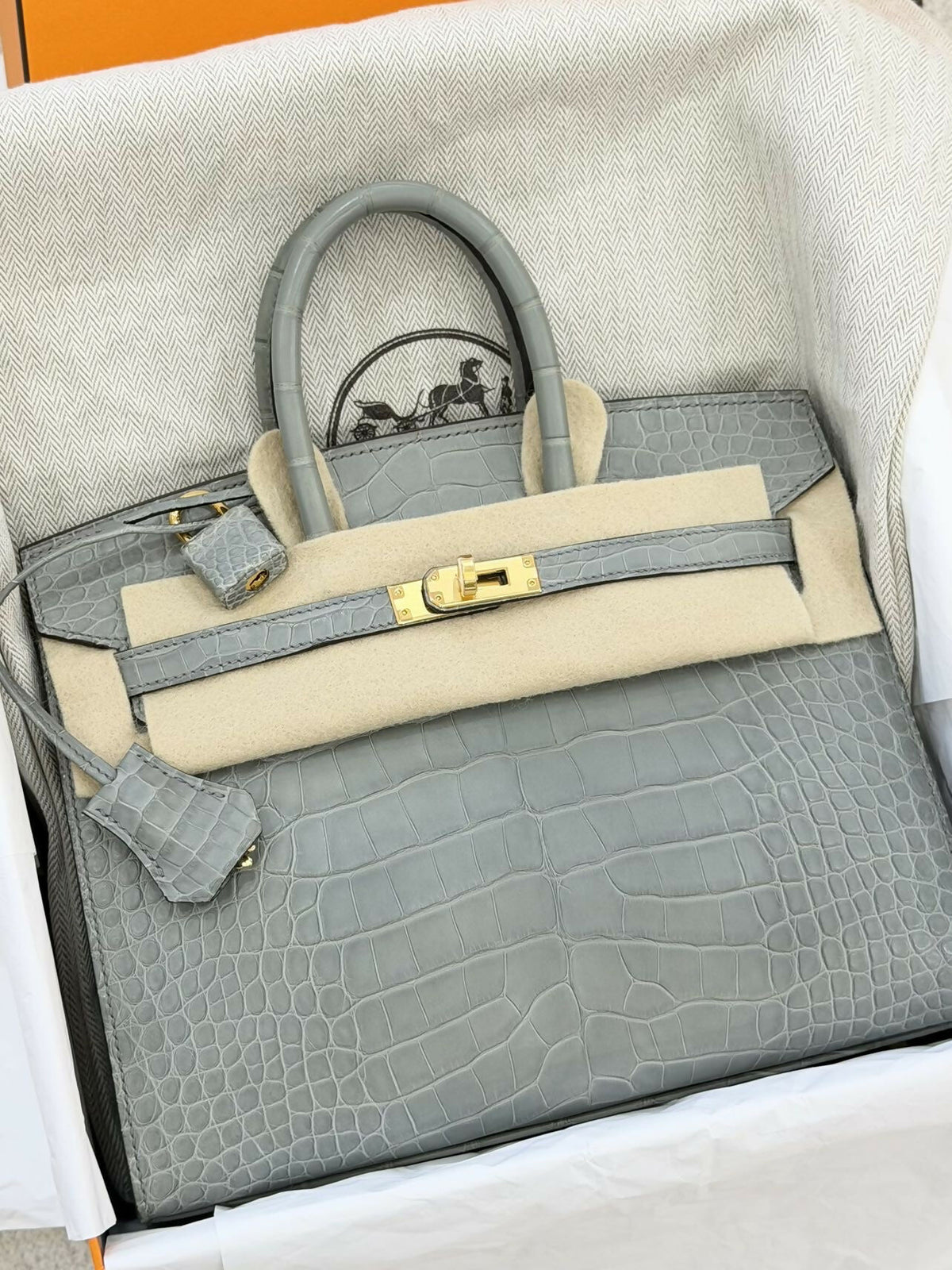 Hermès Birkin 25 Sellier Matte Alligator / Crocodile (0V) with Hardware K Stamp