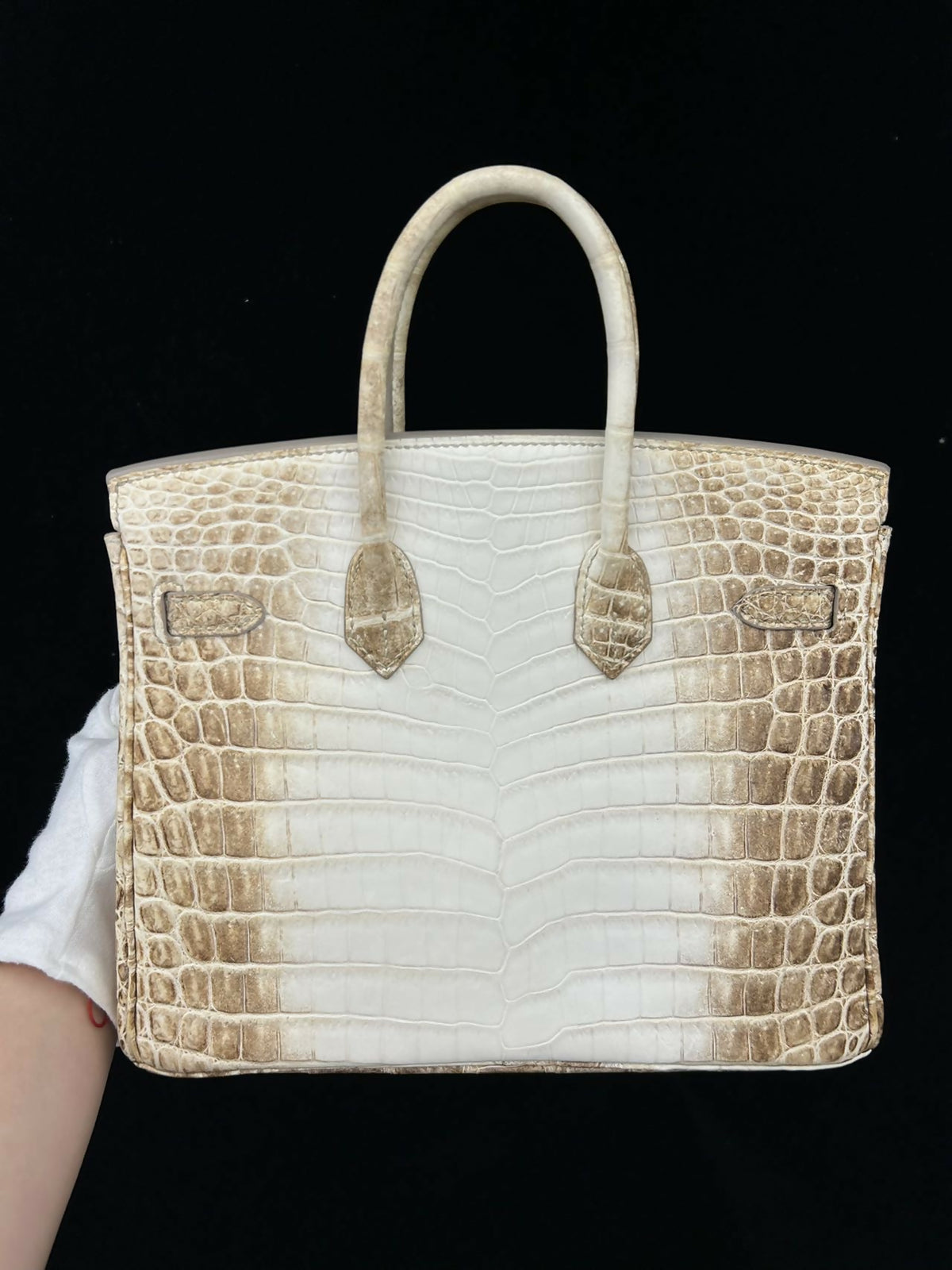 Hermès Birkin 25 Himalaya Niloticus Crocodile Matte with Hardware Square