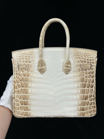 Hermès Birkin 25 Himalaya Niloticus Crocodile Matte with Hardware Square