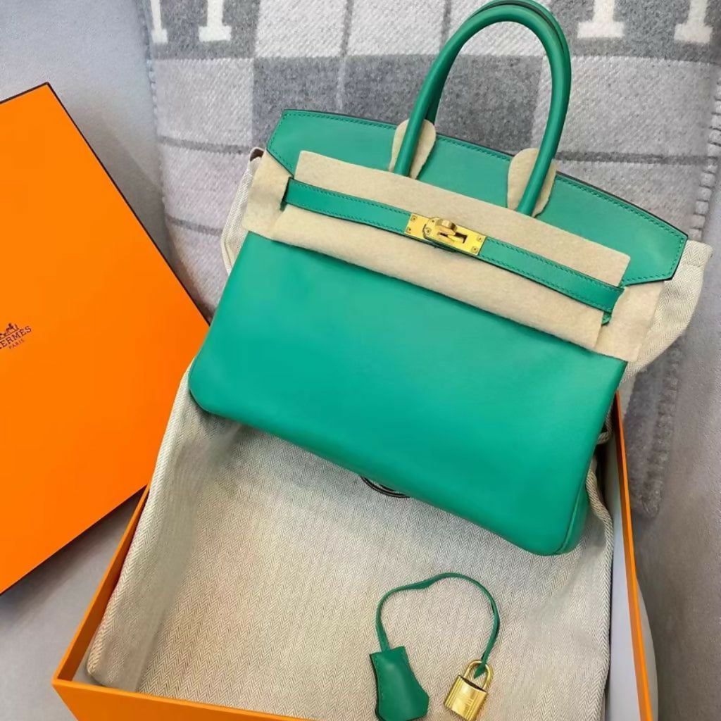 Hermès Birkin 25 – Mint Green Togo Leather with Gold Buckle (3)