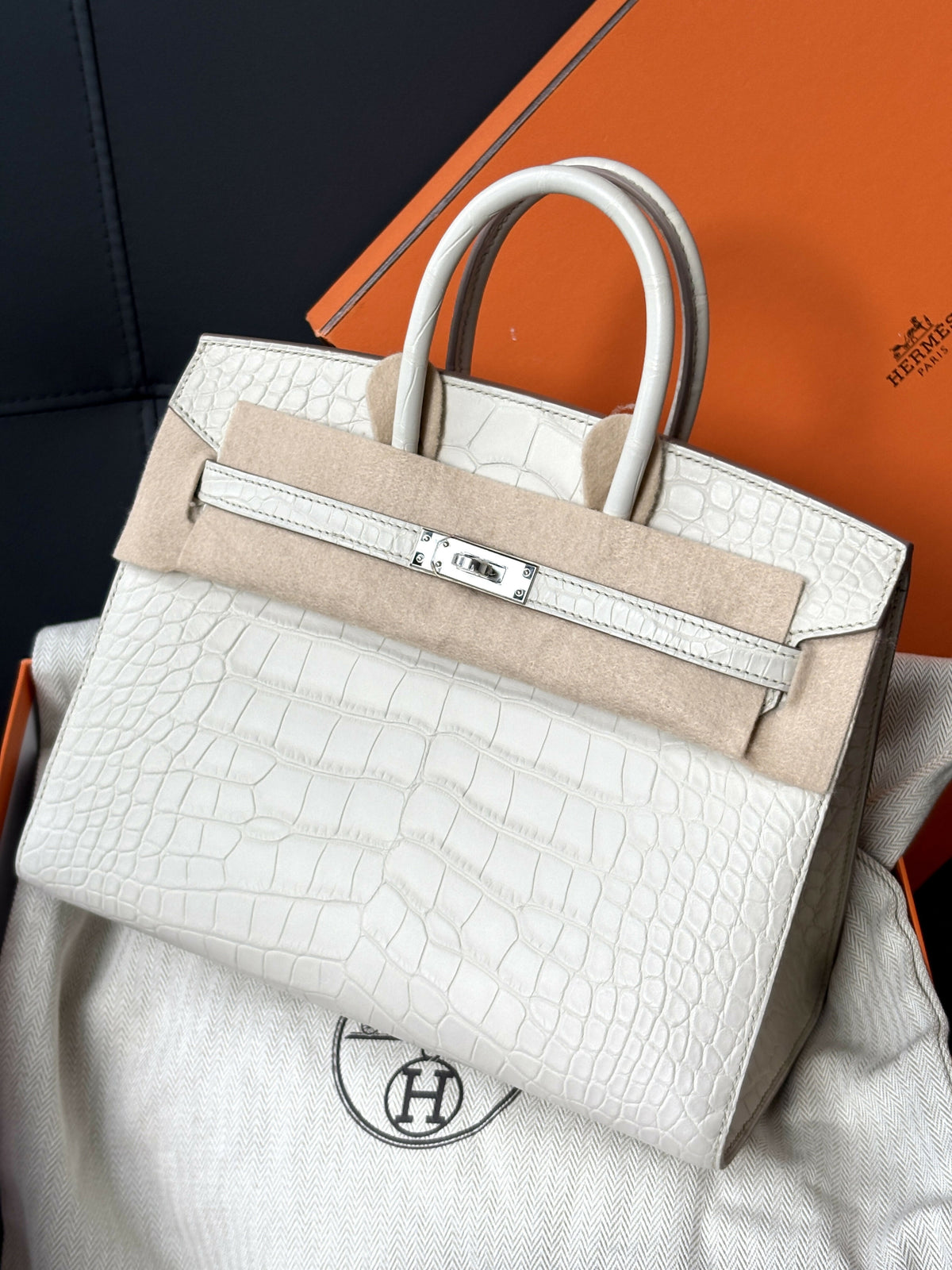 Hermès Birkin 25 Sellier Nata / Blanc Matte Alligator with Palladium Hardware