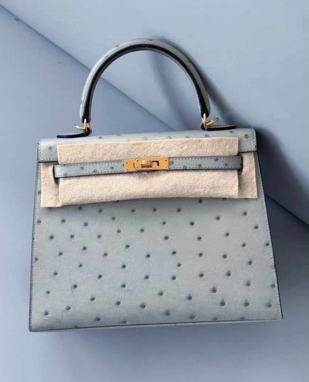 Hermes Kelly 25 Bleu Glacier Ostrich Gold hardware