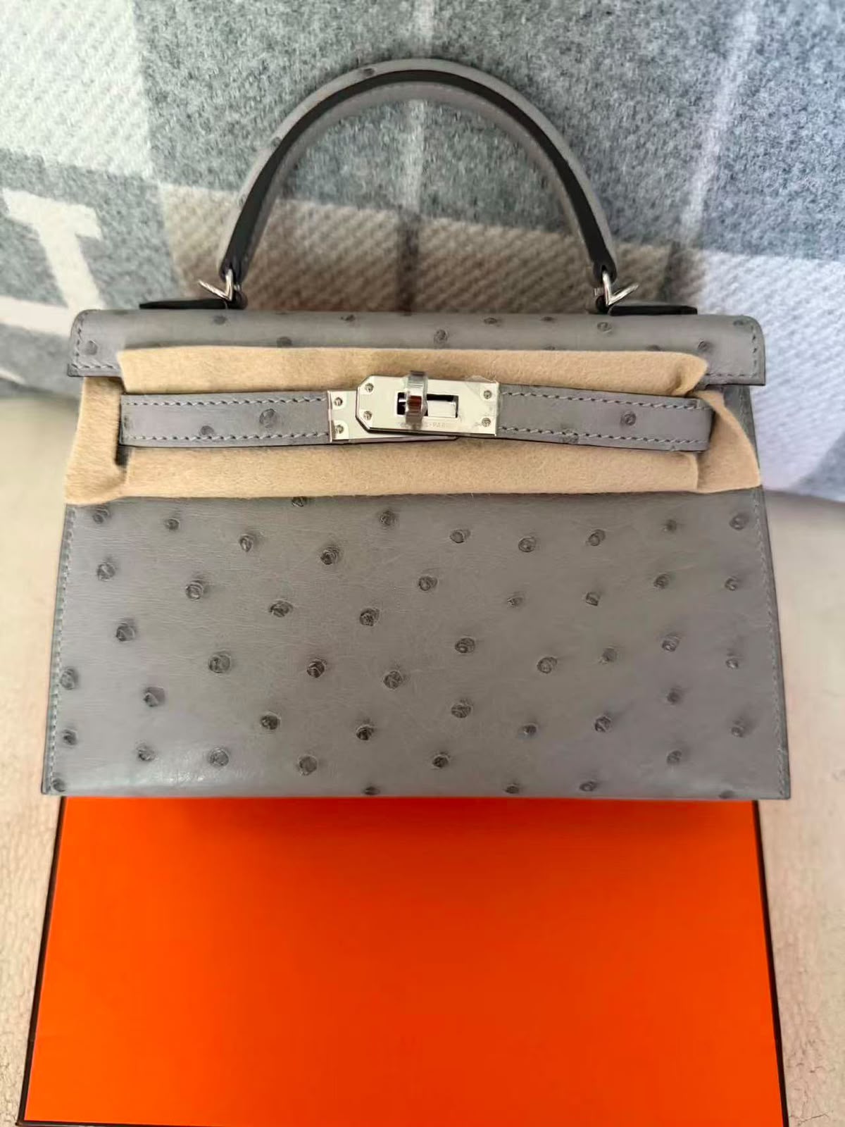 Hermes Mini Kelly 20 Mouette Ostrich Palladium hardware
