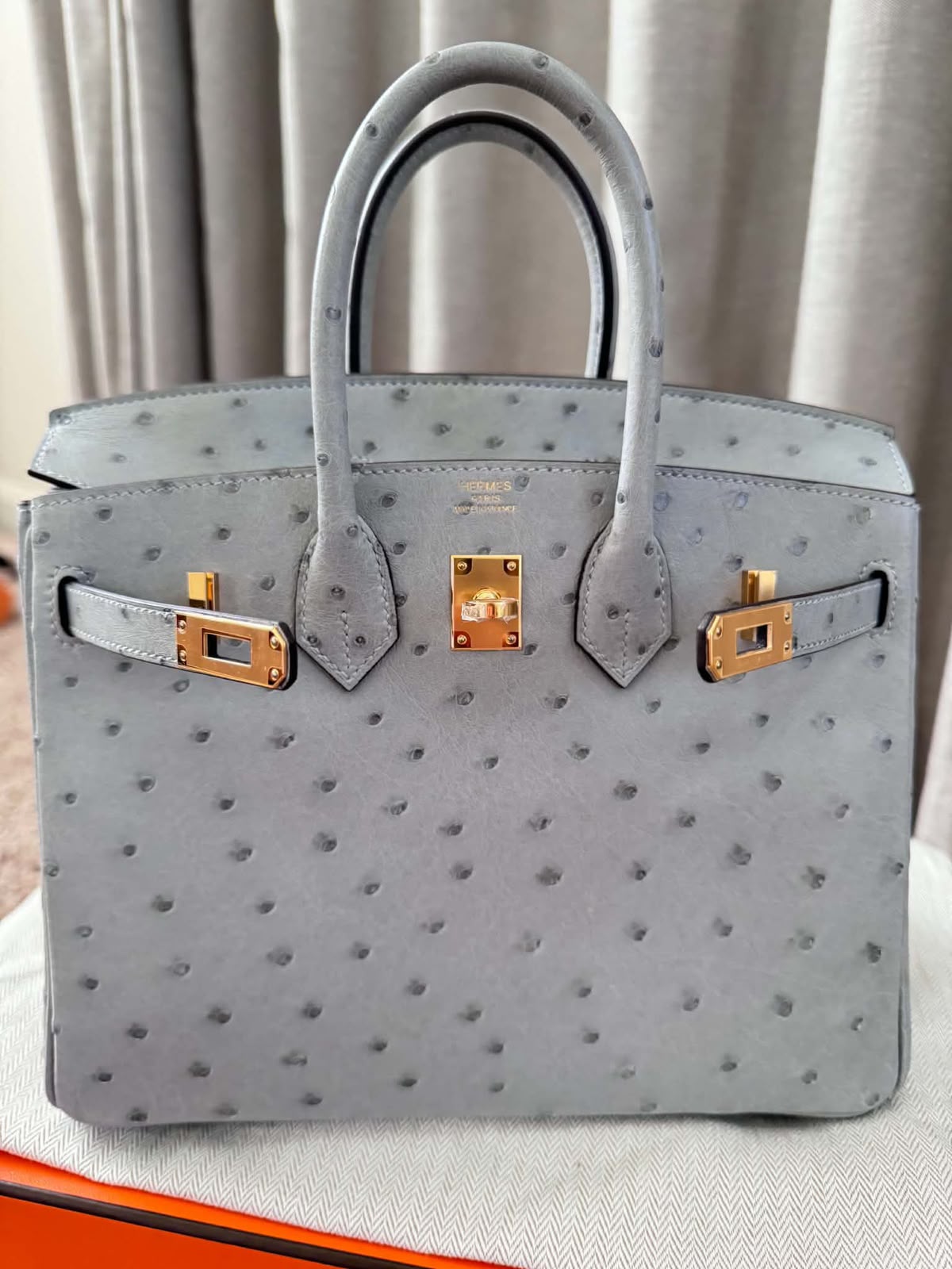 Hermes Birkin 25 Bleu Glacier Ostrich Gold hardware