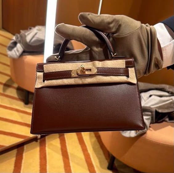 Hermes Mini Kelly 20 Terre Box Permabrass hardware