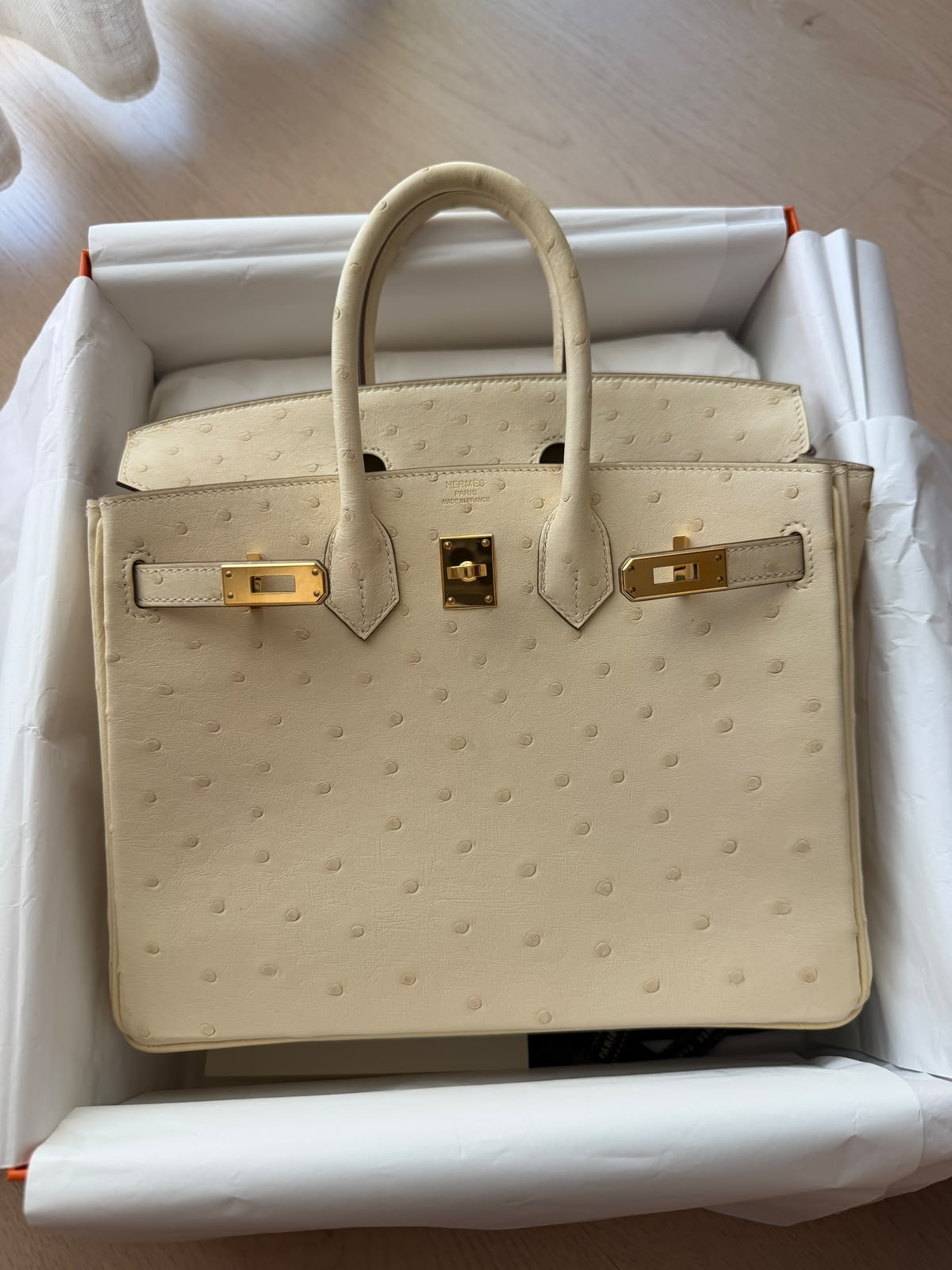 Hermes Birkin 25 Vanille Ostrich Gold hardware