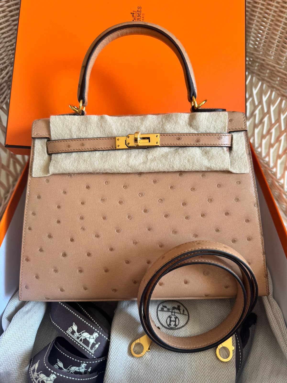 Hermes 25 Chai Ostrich gold hardware