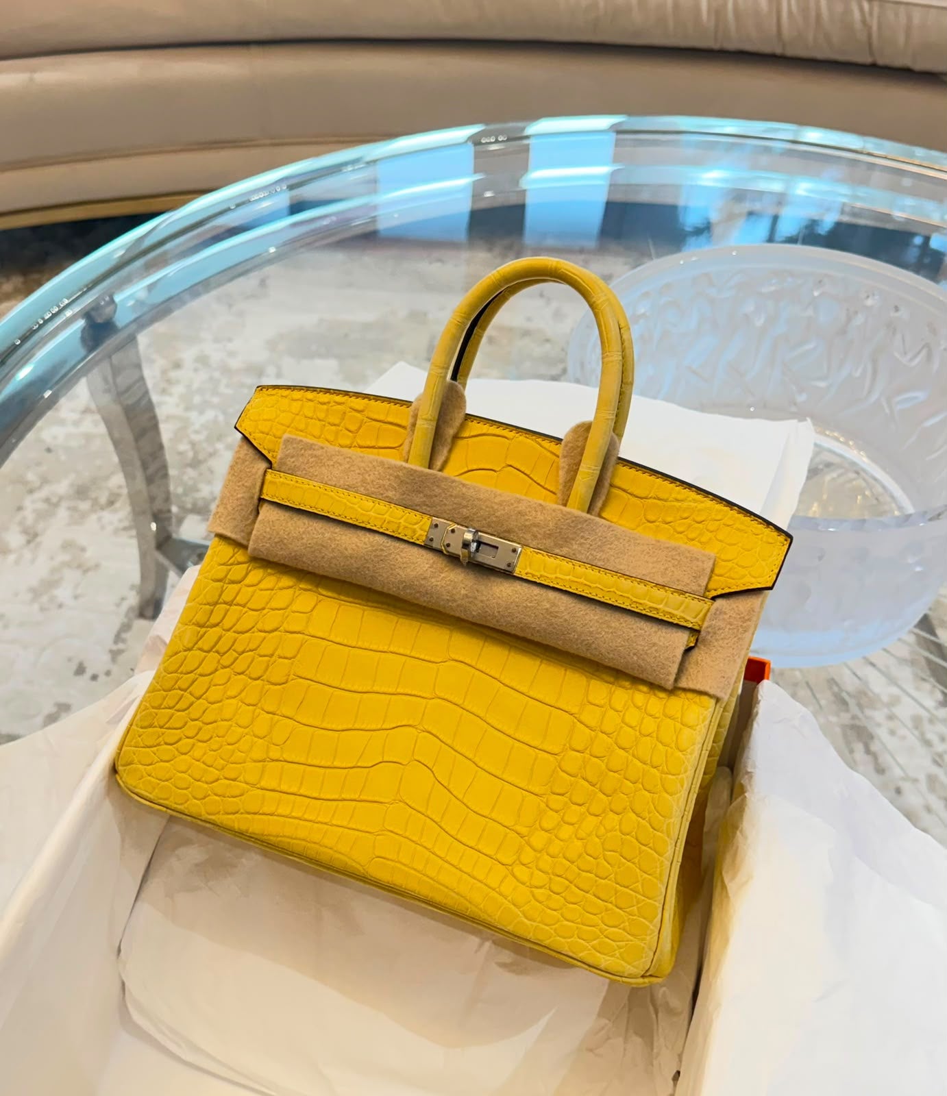 Hermes Birkin 25 Mimosa Matte Alligator Palladium hardware