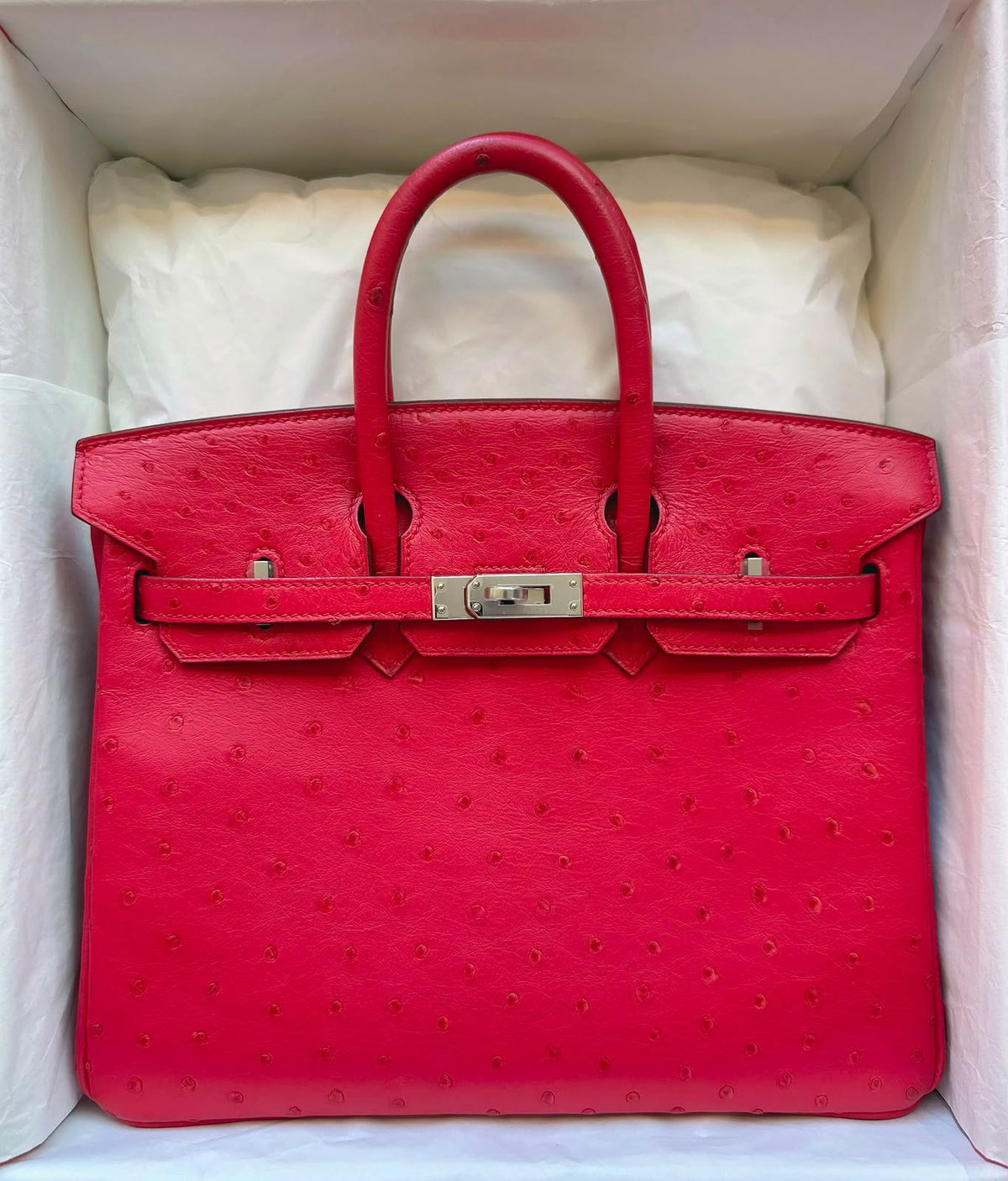 Hermes Birkin 25 Bougainvillier Ostrich Palladium hardware