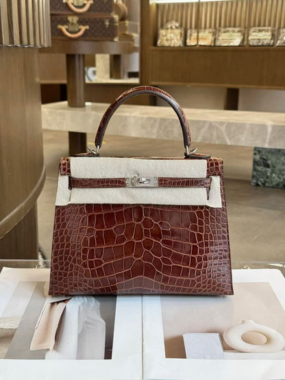 Hermes Kelly 25 Terre shiny alligator Palladium hardware (rare)